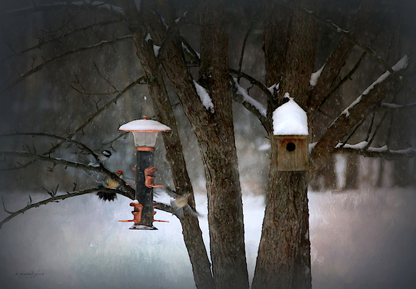 Birds in Snow by Joanna Kovalcsik Birds in Snow by Joanna Kovalcsik